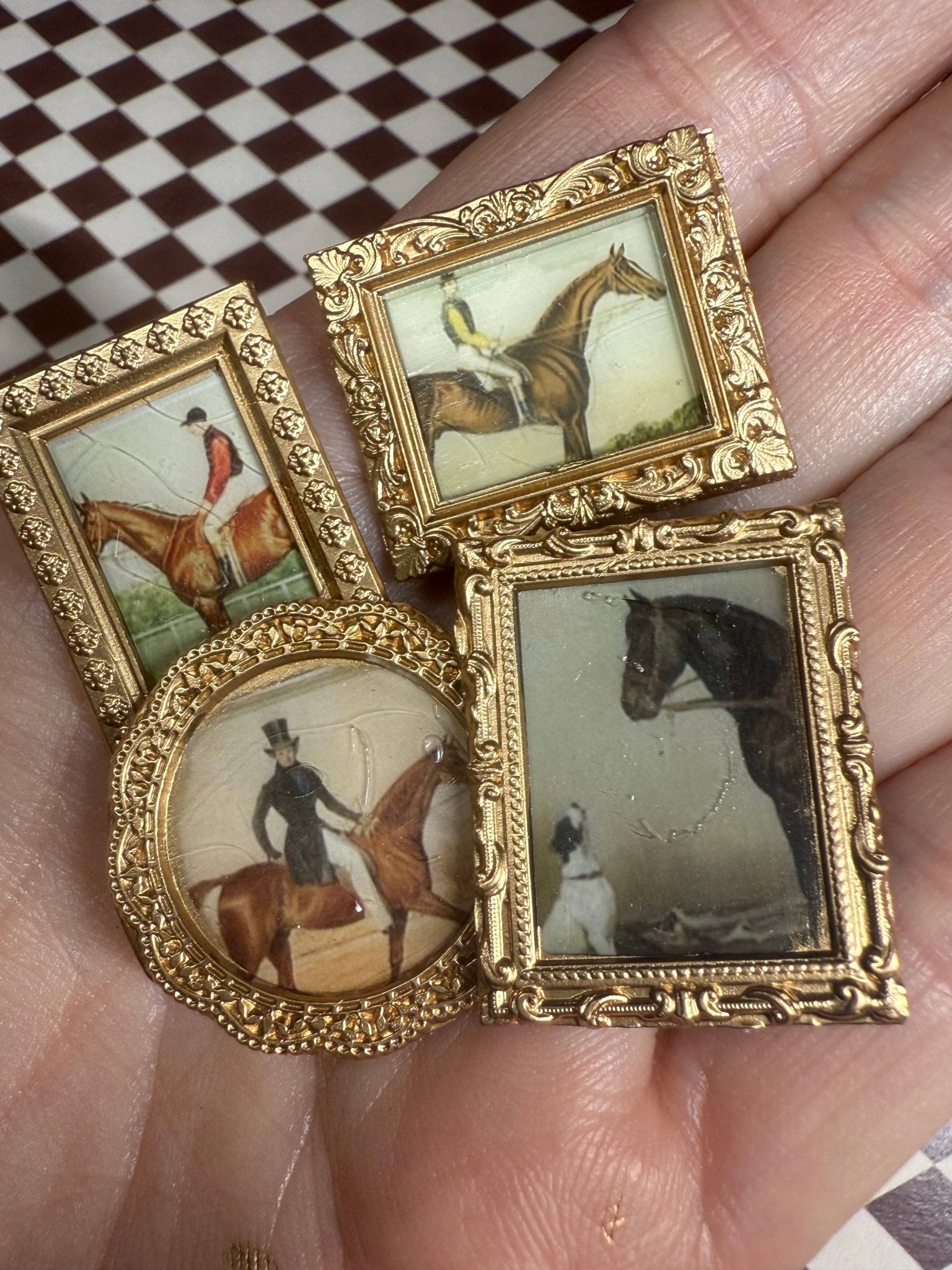 Equine Magnets - Box Turtle