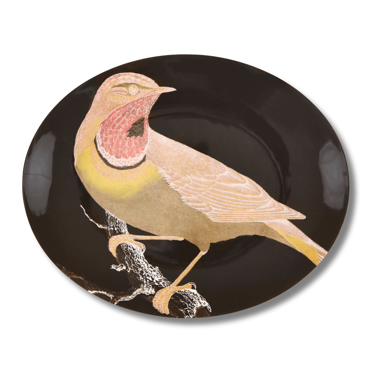 Etchings Melamine Oval Serving Tray - Box Turtle