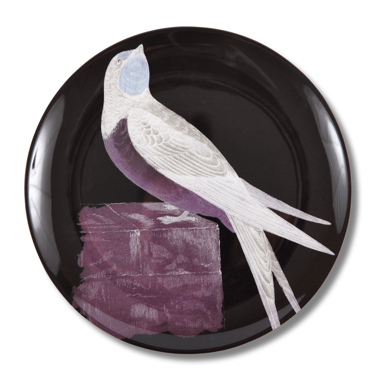Etchings Melamine Side Plates - Box Turtle