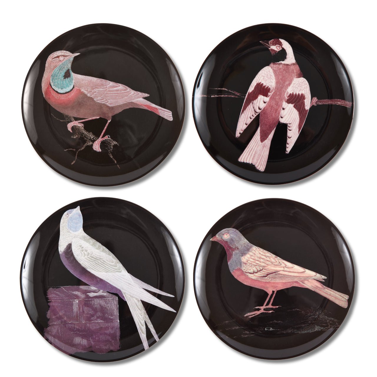 Etchings Melamine Side Plates - Box Turtle