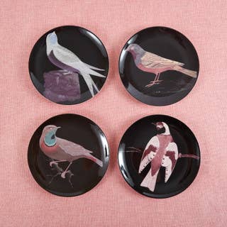 Etchings Melamine Side Plates - Box Turtle
