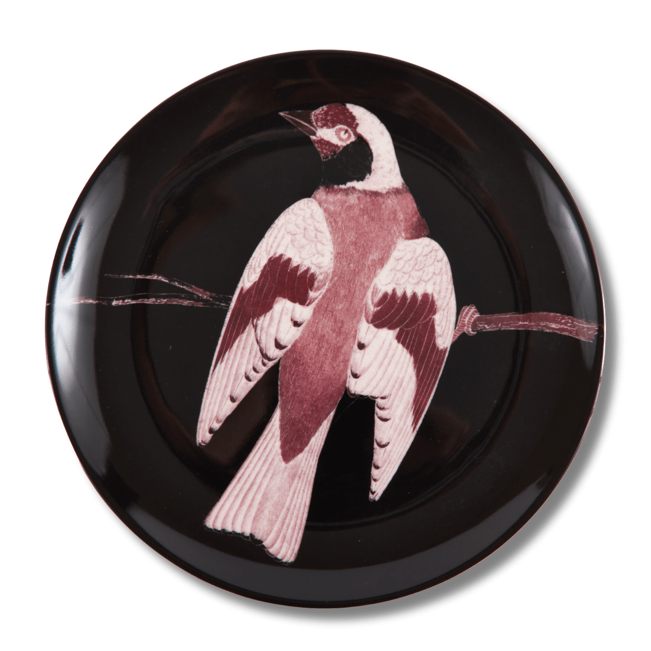 Etchings Melamine Side Plates - Box Turtle