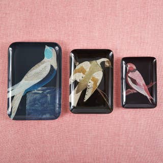 Etchings Melamine Tray - Box Turtle