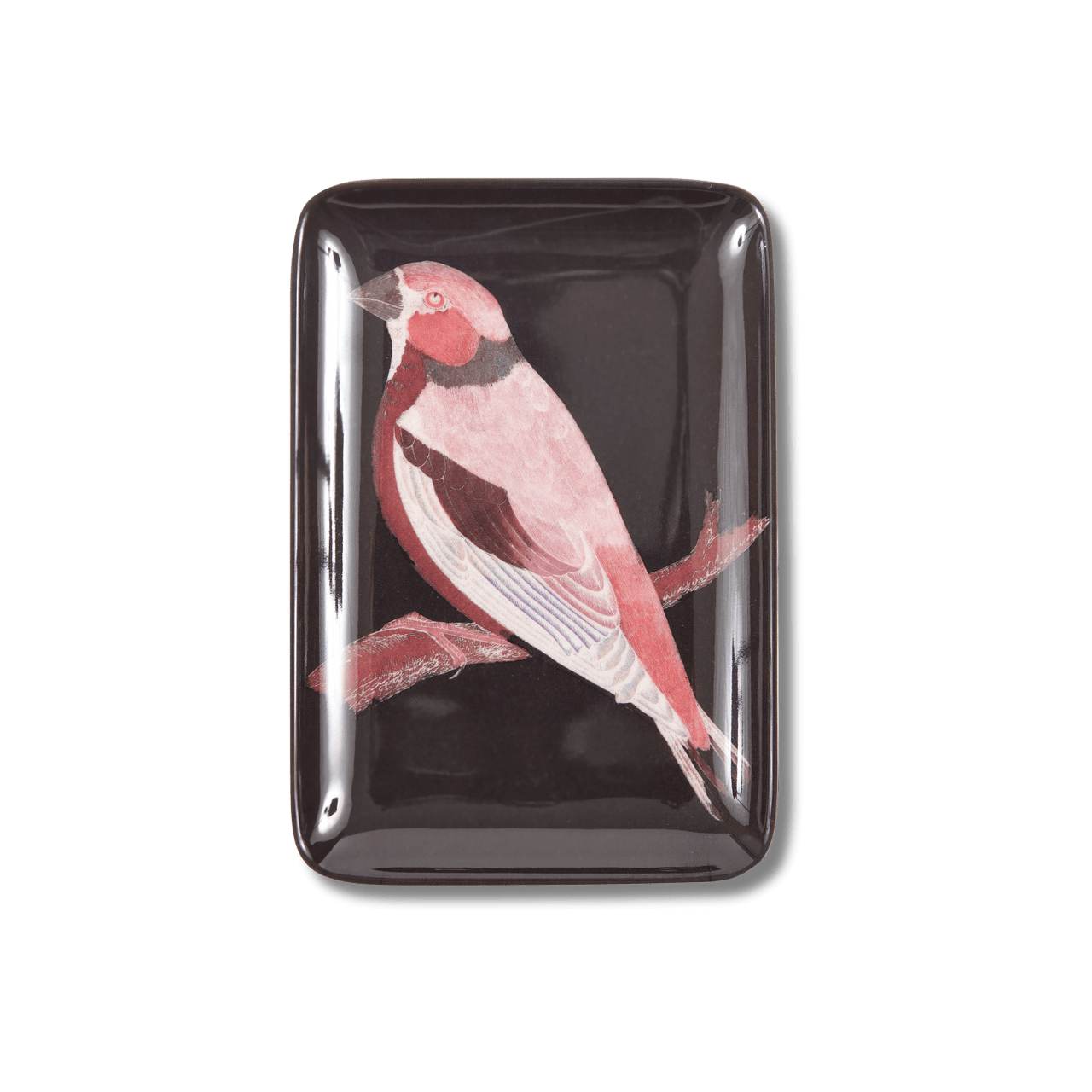 Etchings Melamine Tray - Box Turtle