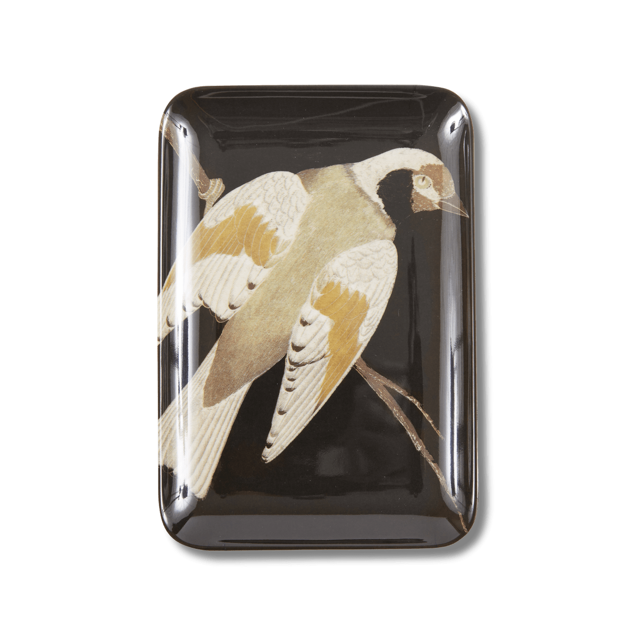 Etchings Melamine Tray - Box Turtle