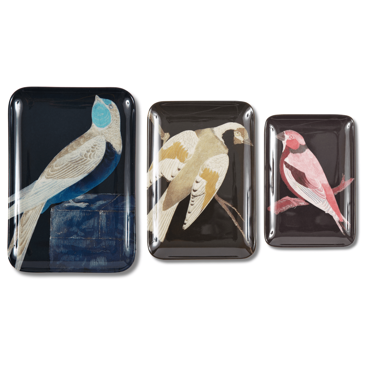 Etchings Melamine Tray - Box Turtle