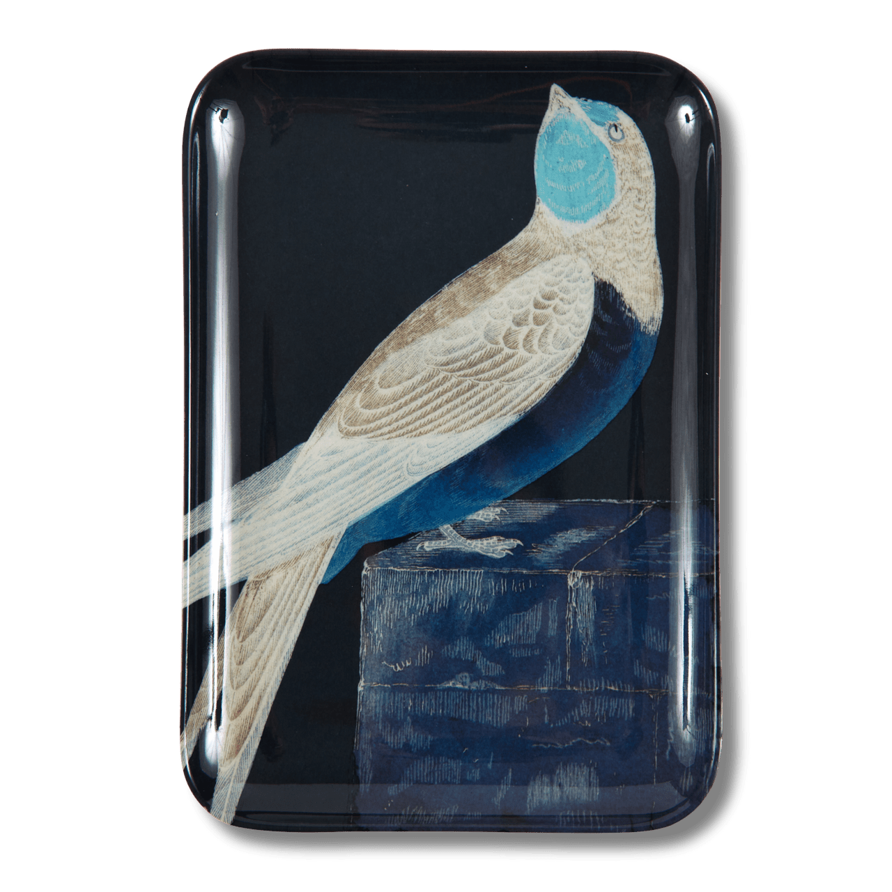 Etchings Melamine Tray - Box Turtle