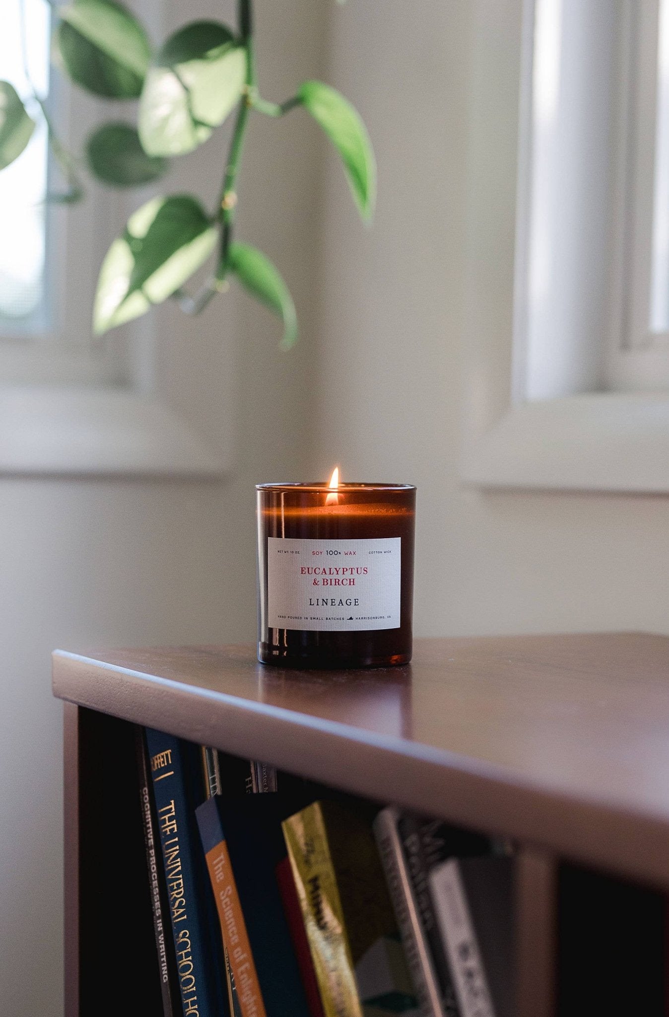 Eucalyptus & Birch Candle - Box Turtle