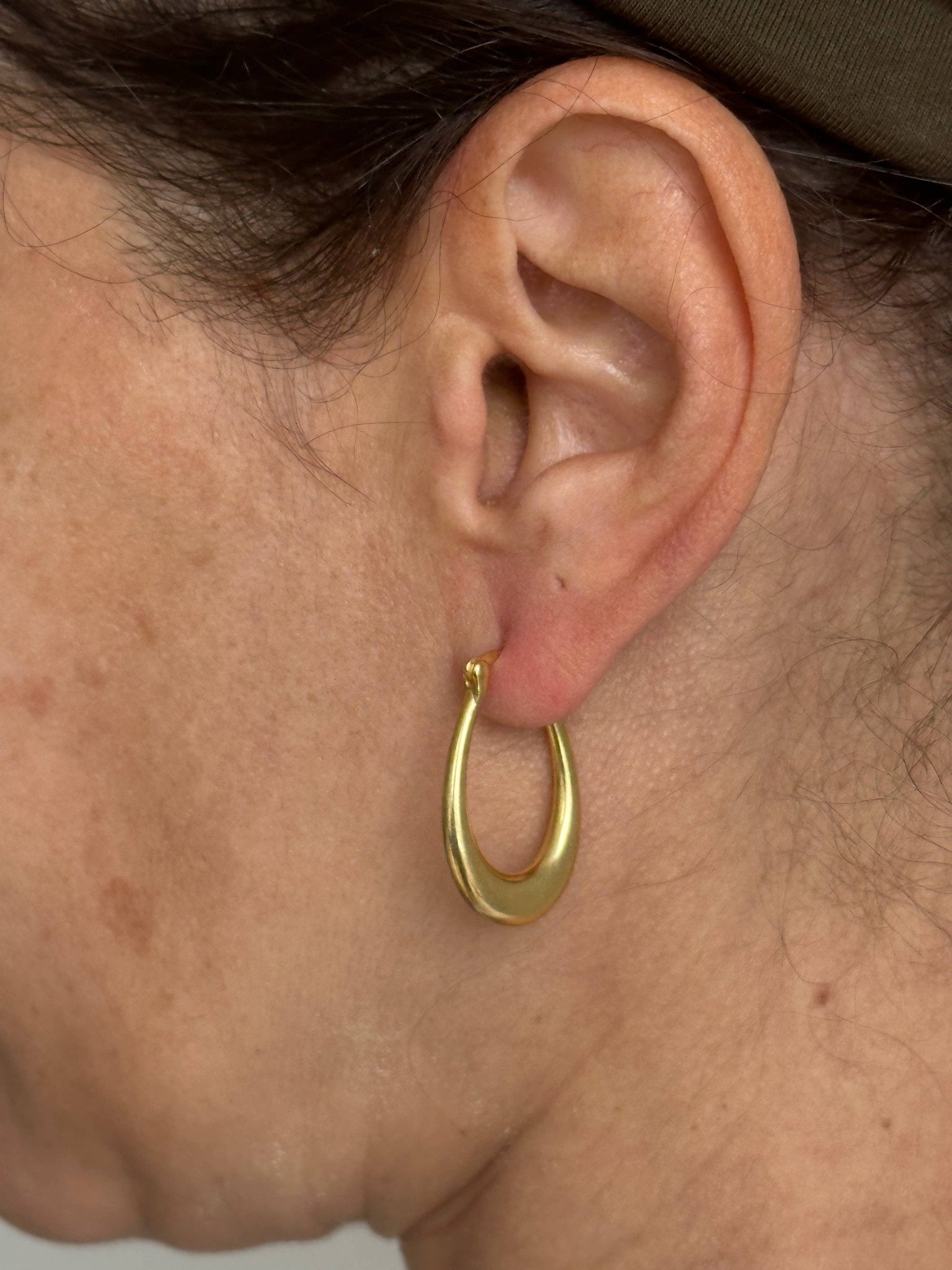 Every Day Modern Hoops - Box Turtle