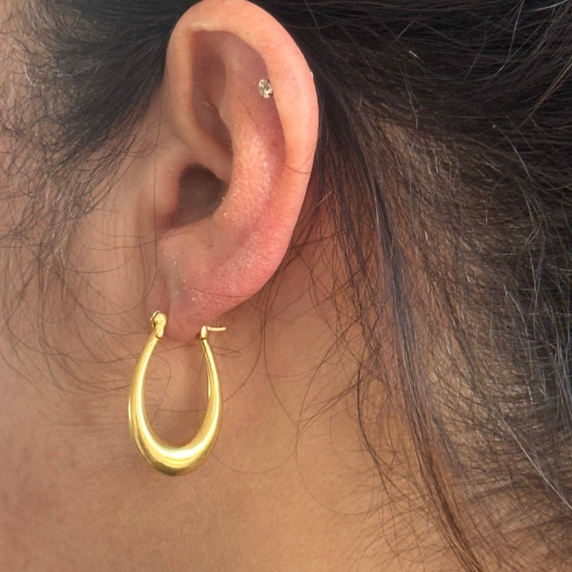 Every Day Modern Hoops - Box Turtle