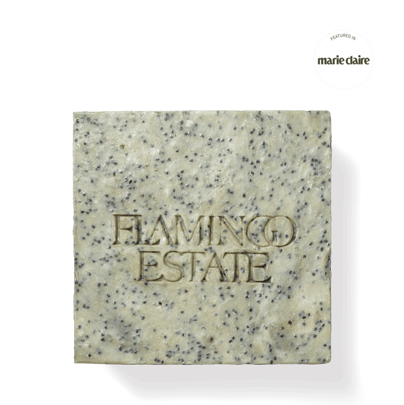 Exfoliating Peppermint Soap Brick - Box Turtle
