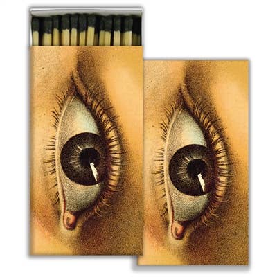 Eye Matches - Box Turtle