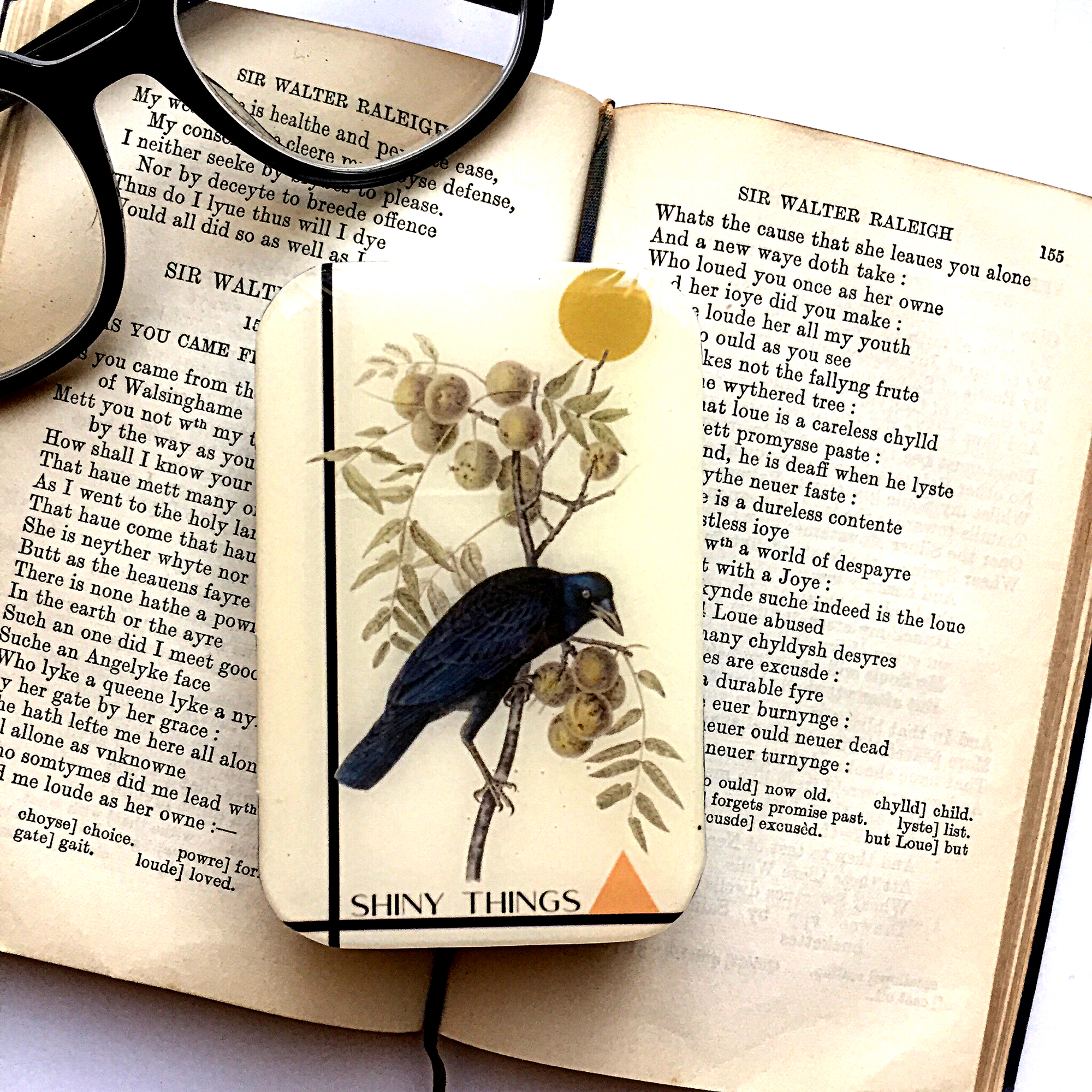 Crow Trinket Tin