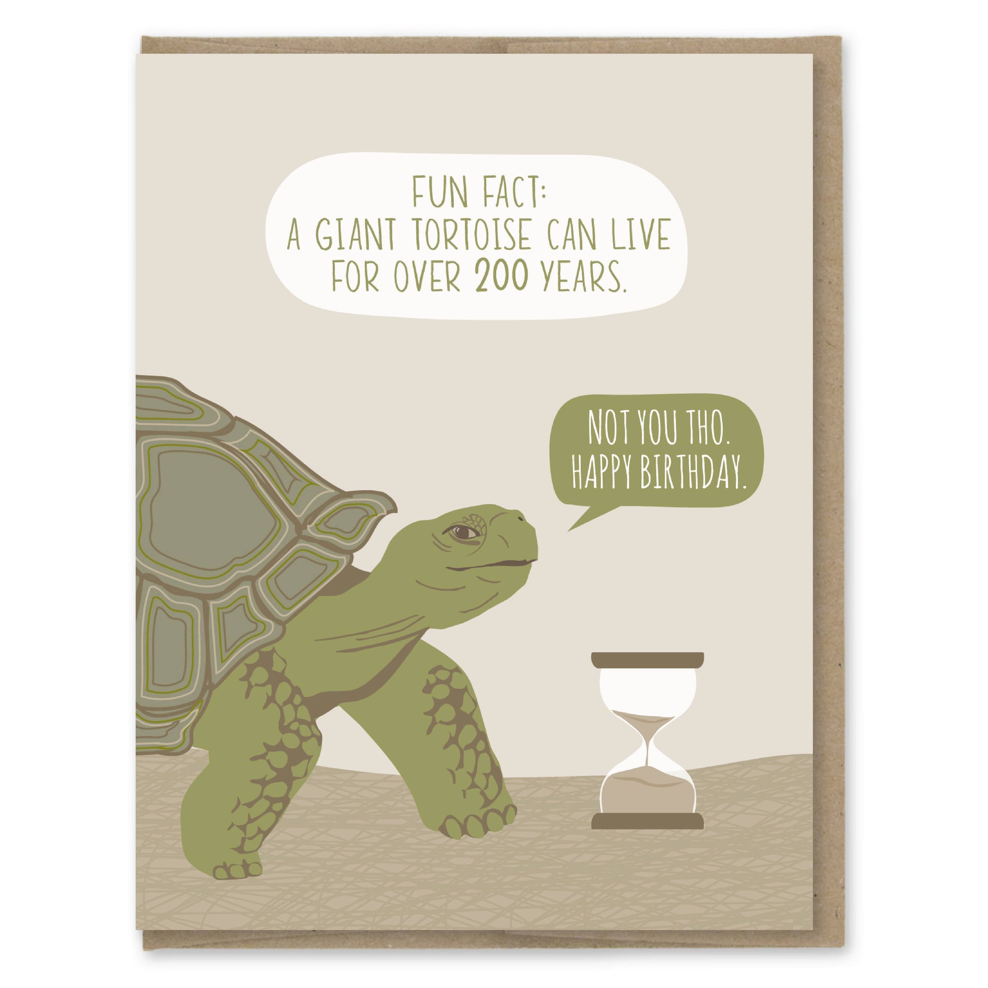 Tortoise Fact Funny Birthday Card