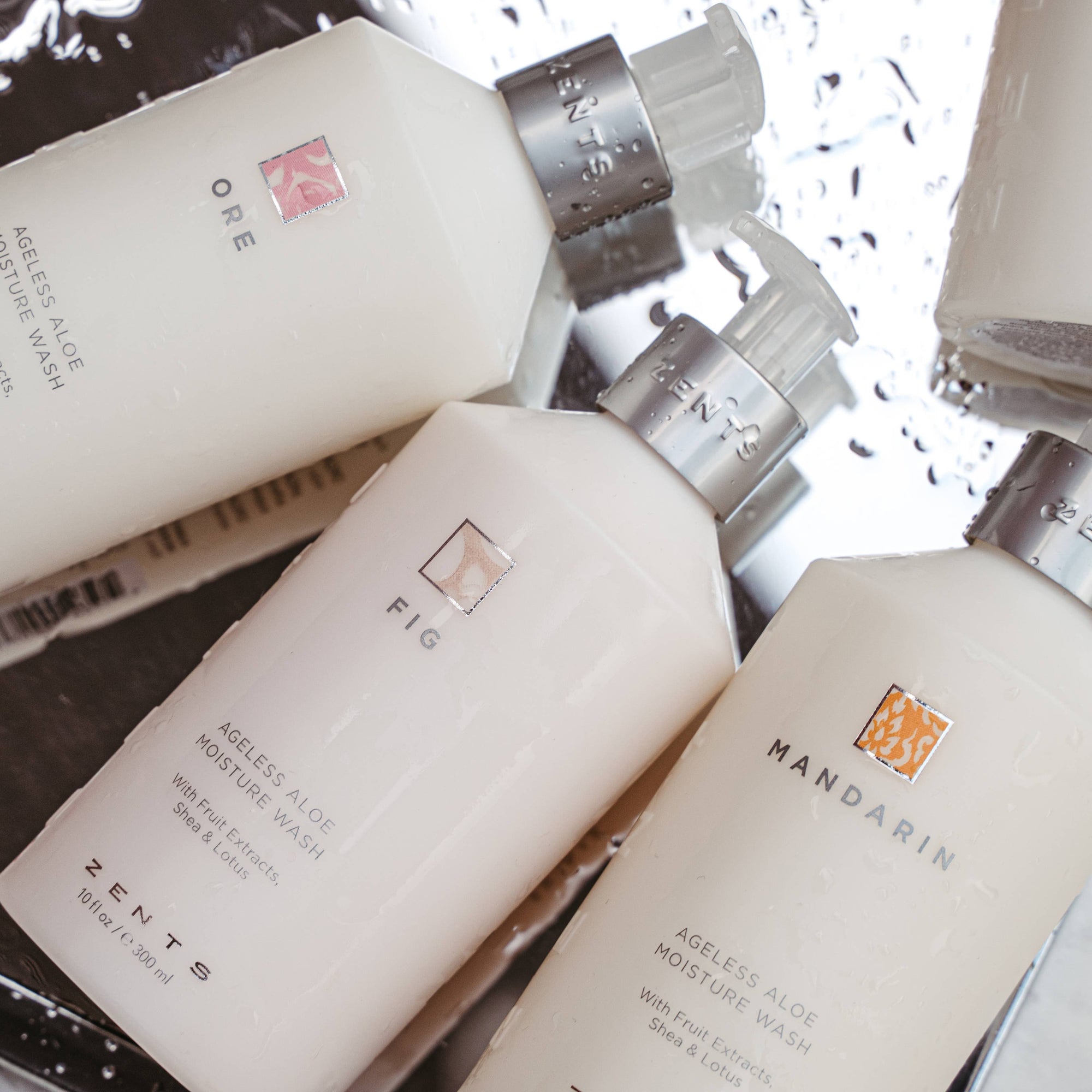Fresh Ageless Aloe Hand & Body Moisture Wash