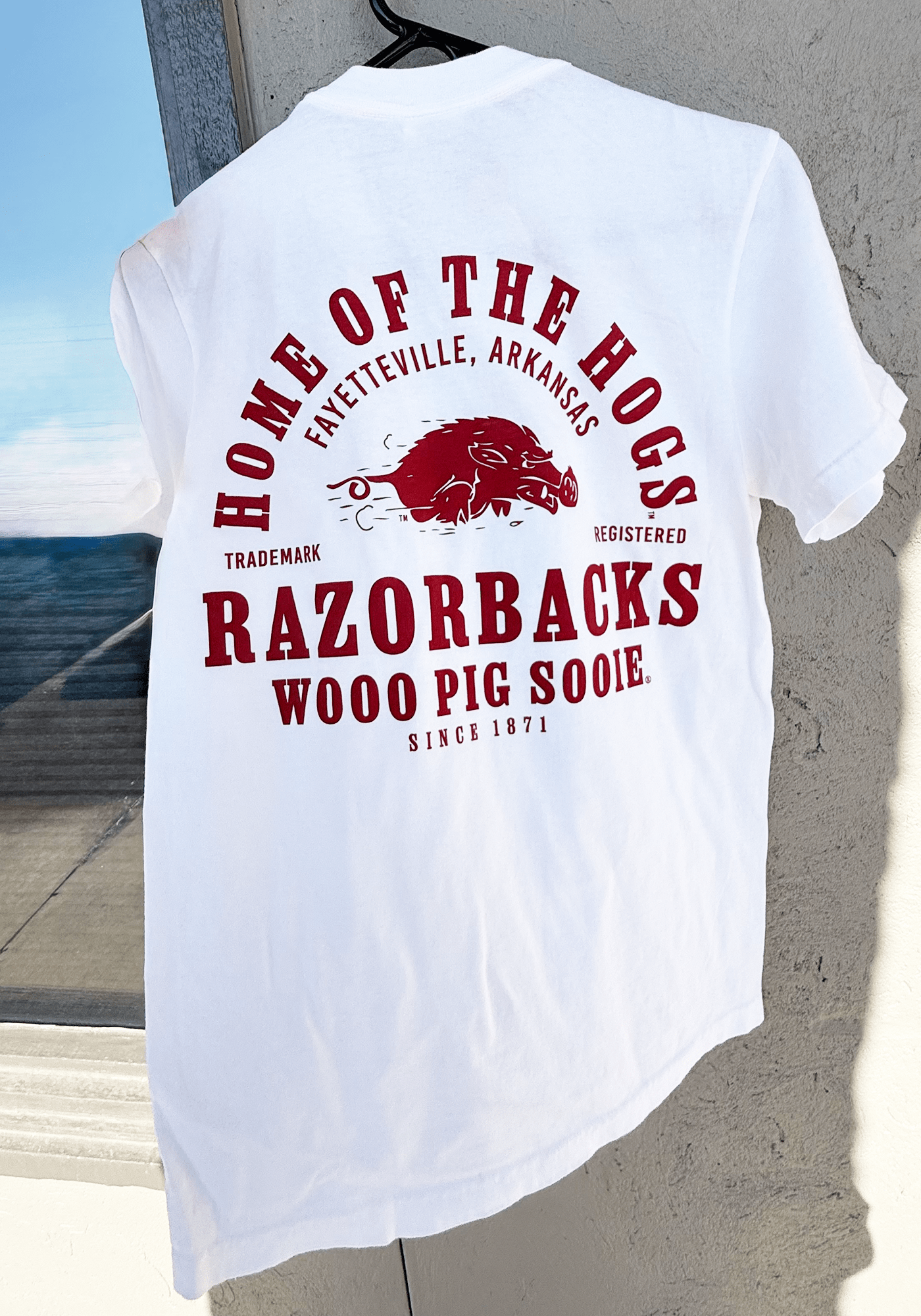 Fay Ark Home Of The Hogs - Box Turtle