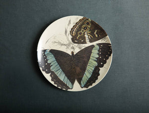 Specimen Large Round Tray