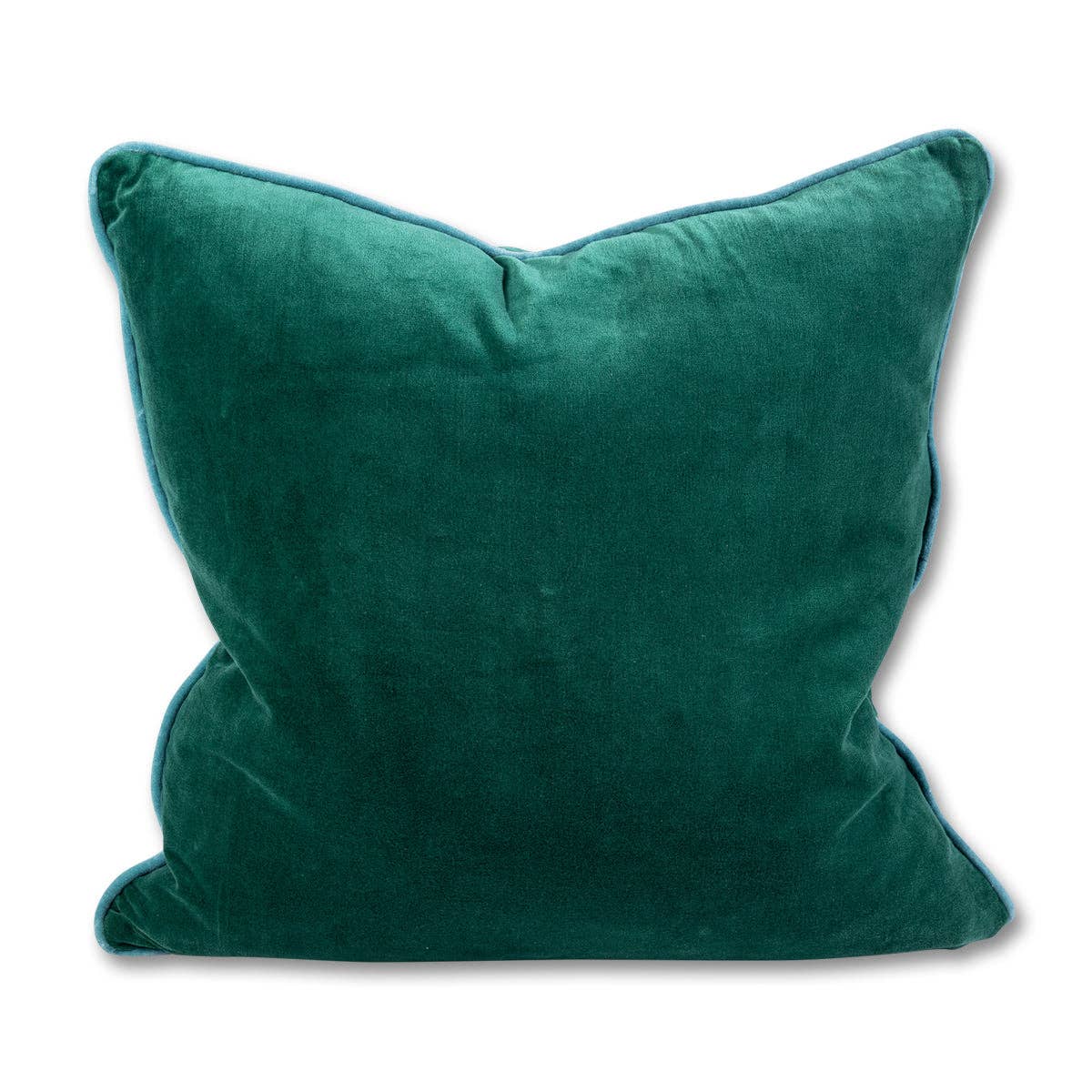 Green + Aqua Charliss Velvet Pillow
