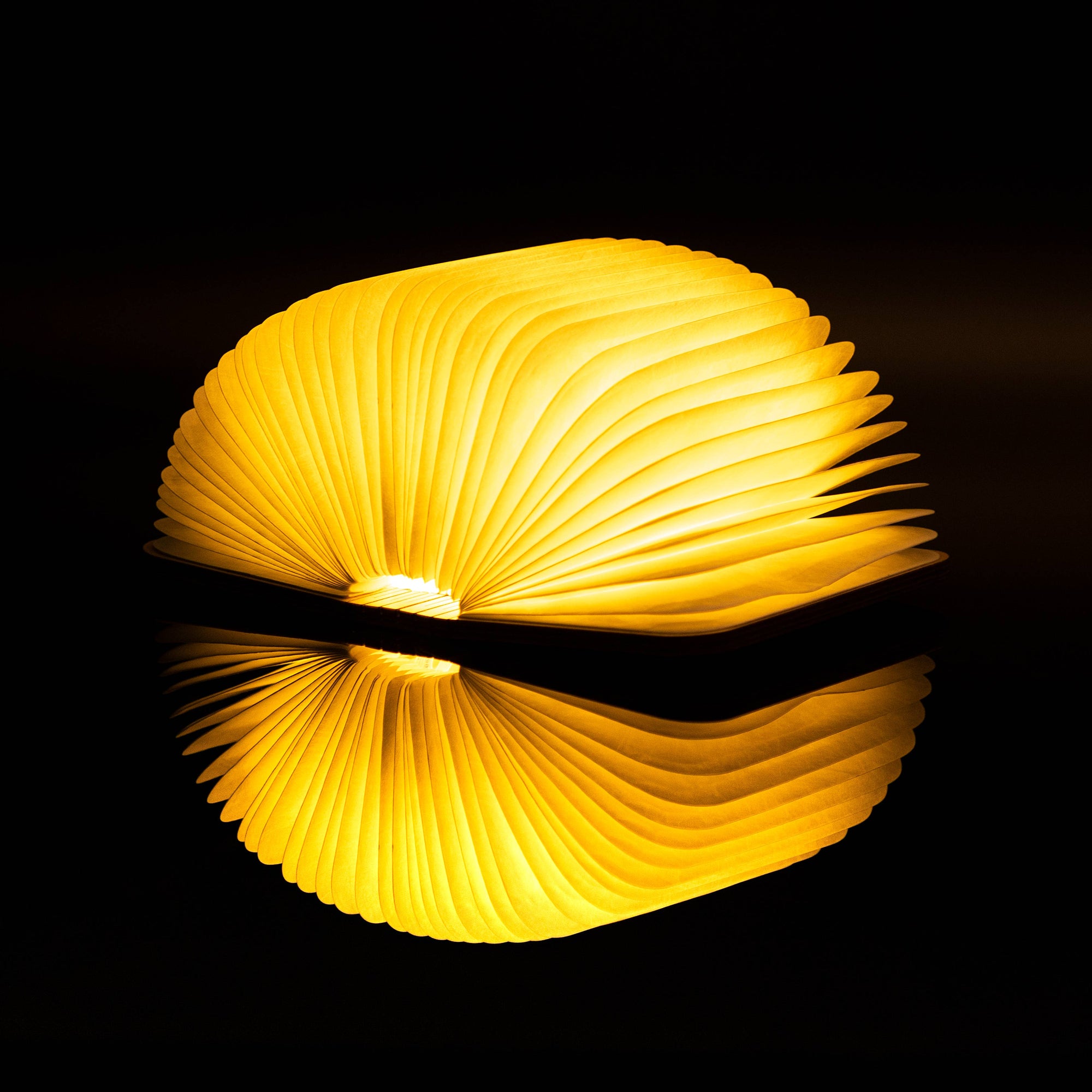 Accordion Book Lamp