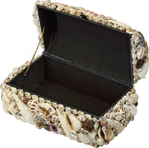 Rounded Natural Seashell Treasure Box