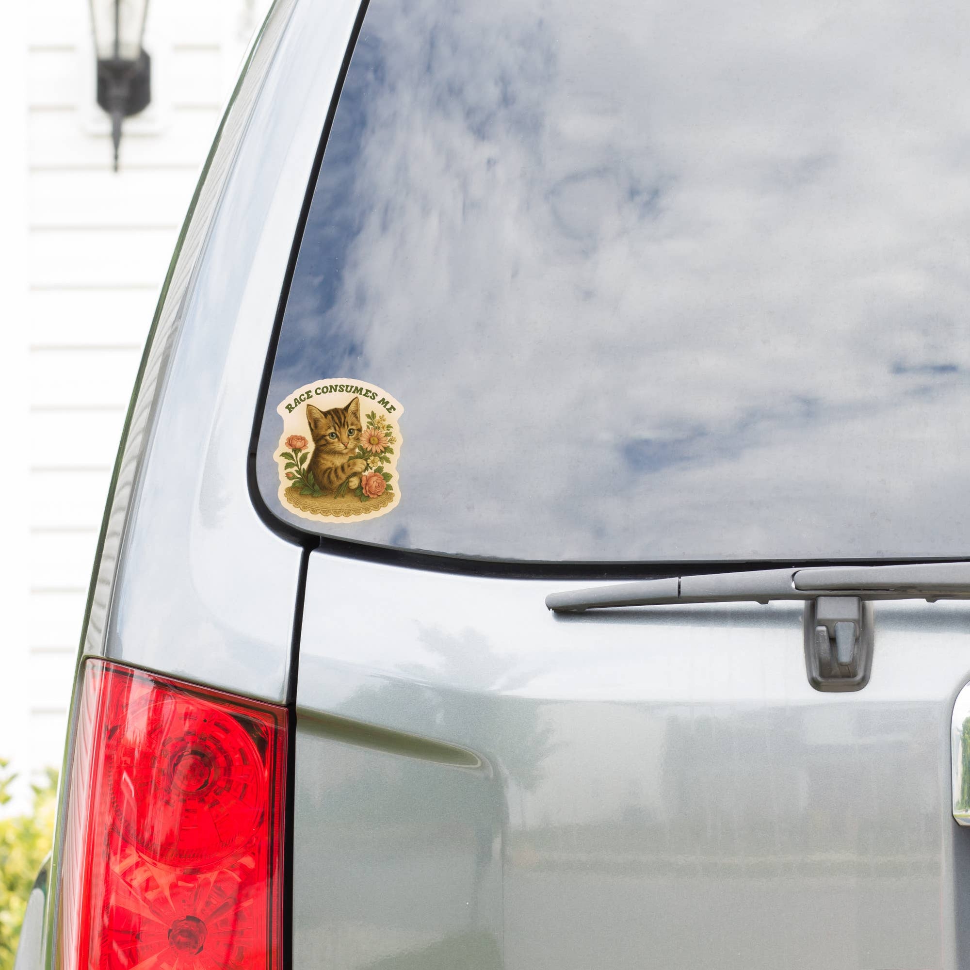 Feisty Kitty Cat Sarcastic Cute Vinyl Sticker - Box Turtle