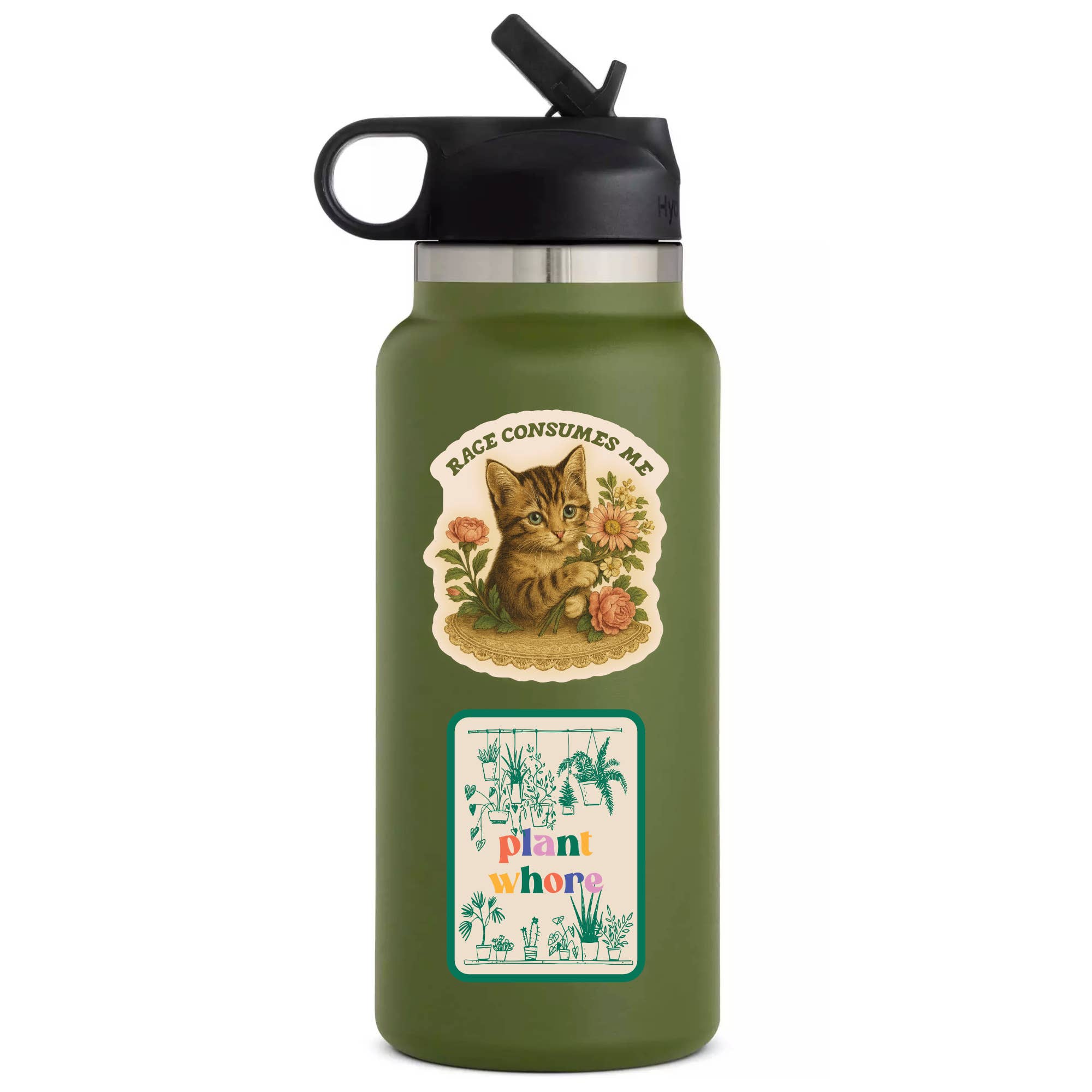 Feisty Kitty Cat Sarcastic Cute Vinyl Sticker - Box Turtle