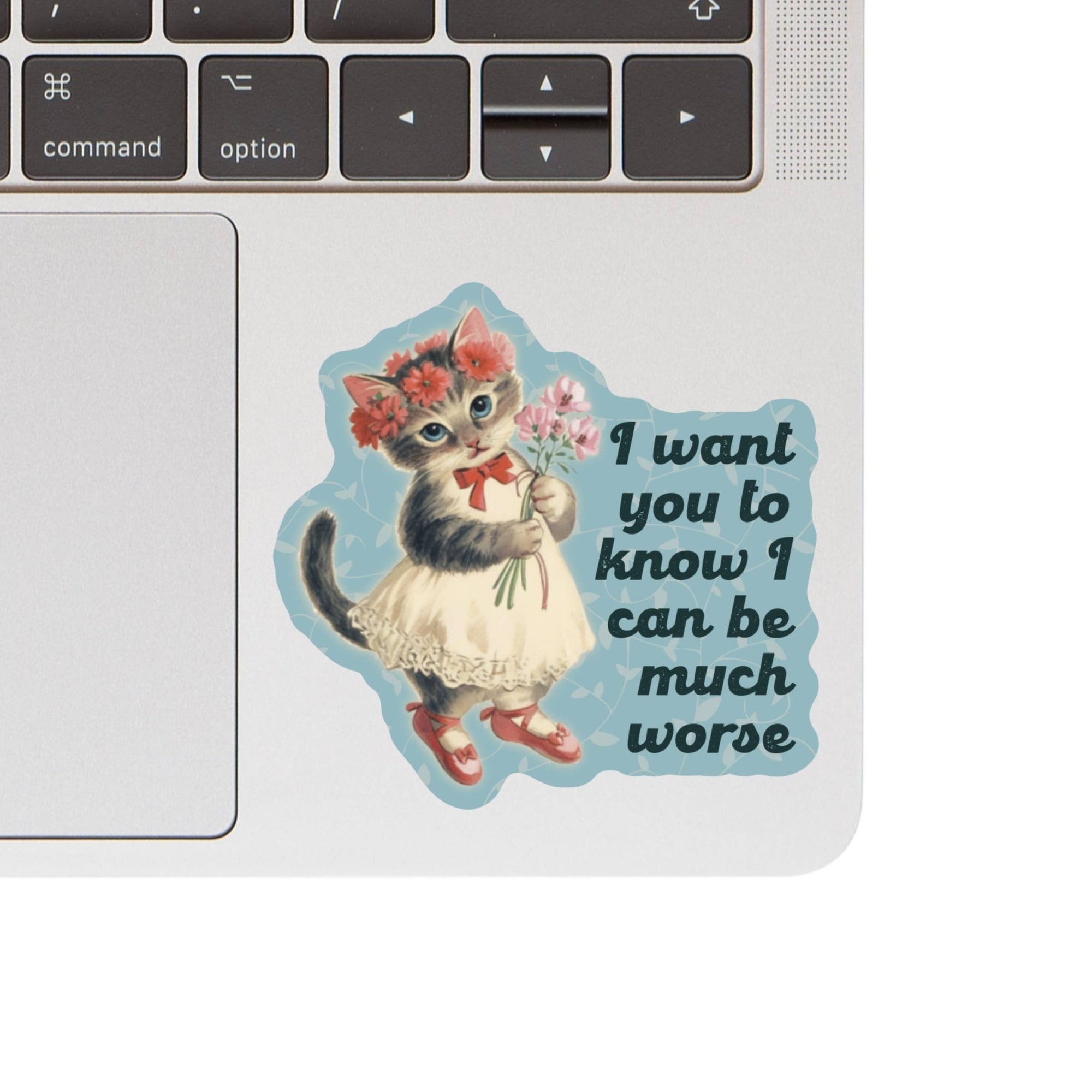 Feisty Kitty Cat Sarcastic Cute Vinyl Sticker - Box Turtle