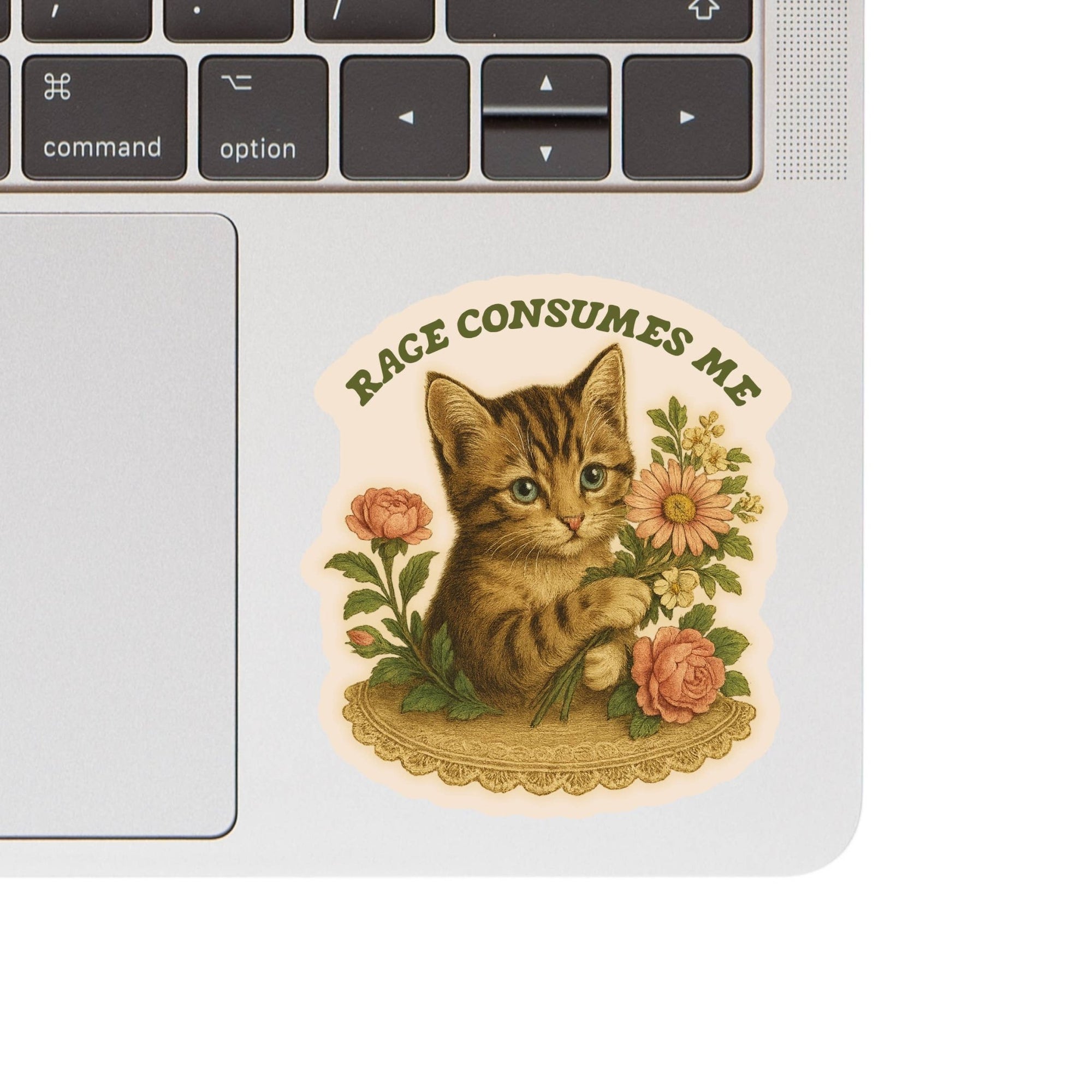 Feisty Kitty Cat Sarcastic Cute Vinyl Sticker - Box Turtle