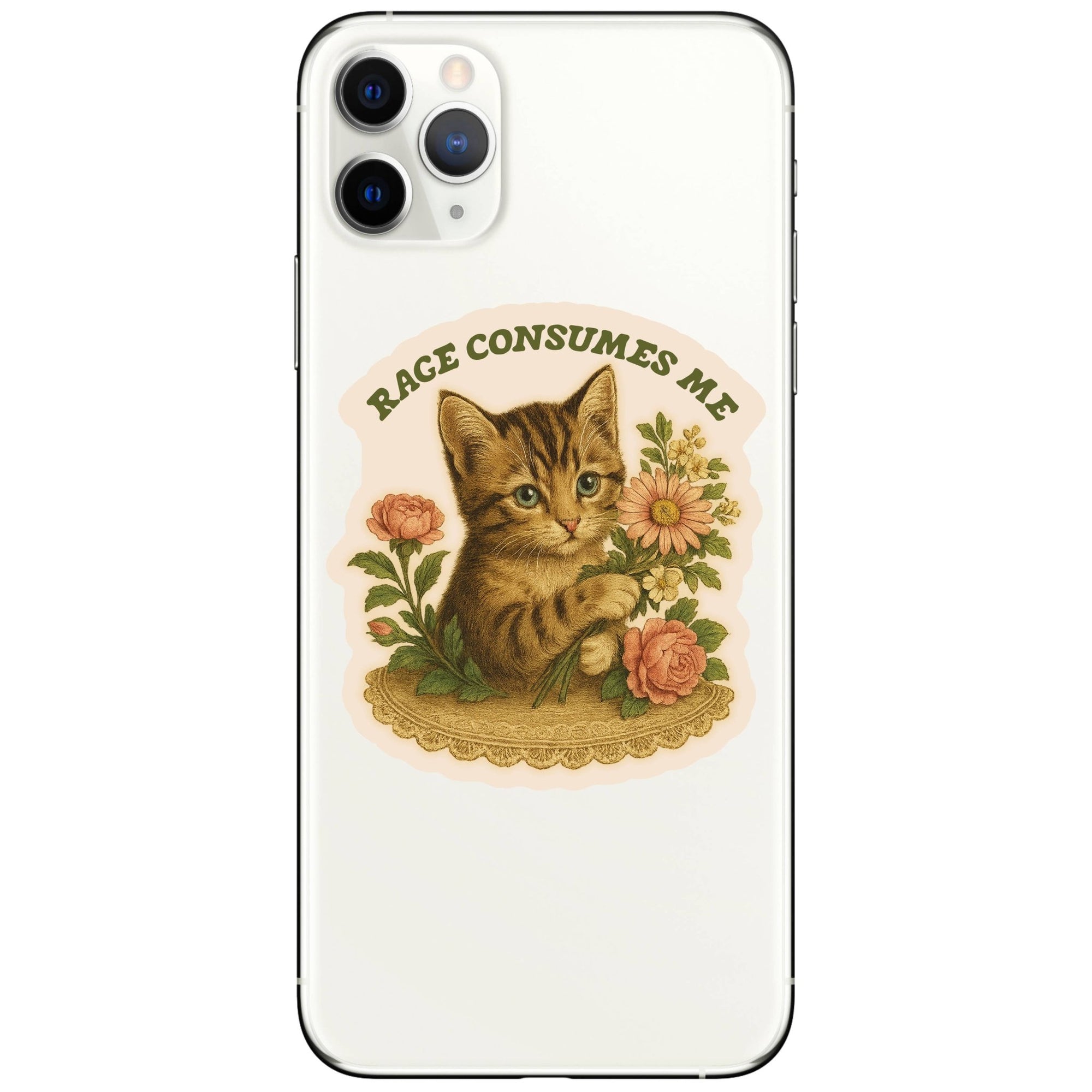 Feisty Kitty Cat Sarcastic Cute Vinyl Sticker - Box Turtle