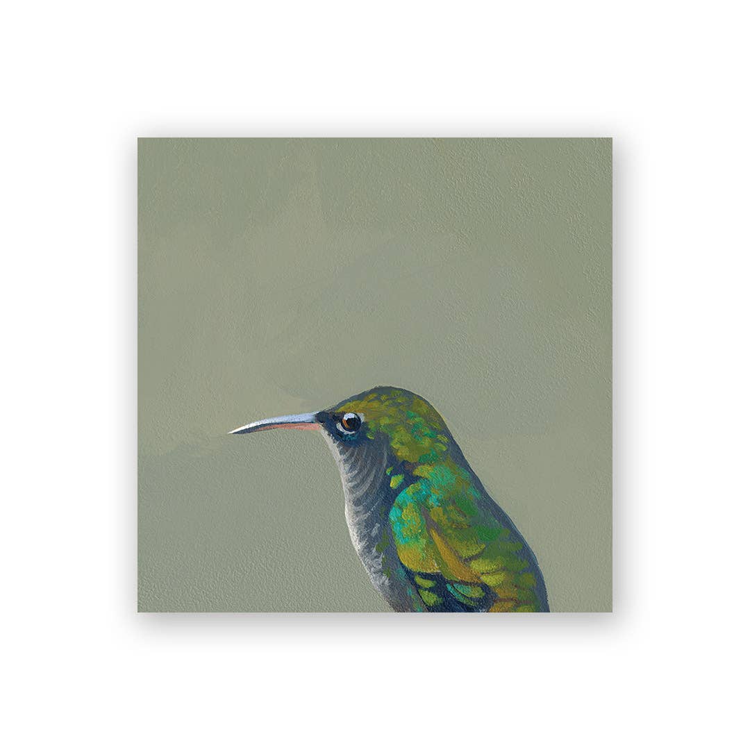 Female Hummingbird Wood Wall Art - Box Turtle