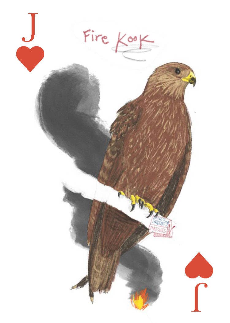 Field Guide to Dumb Birds Playing Cards - Box Turtle