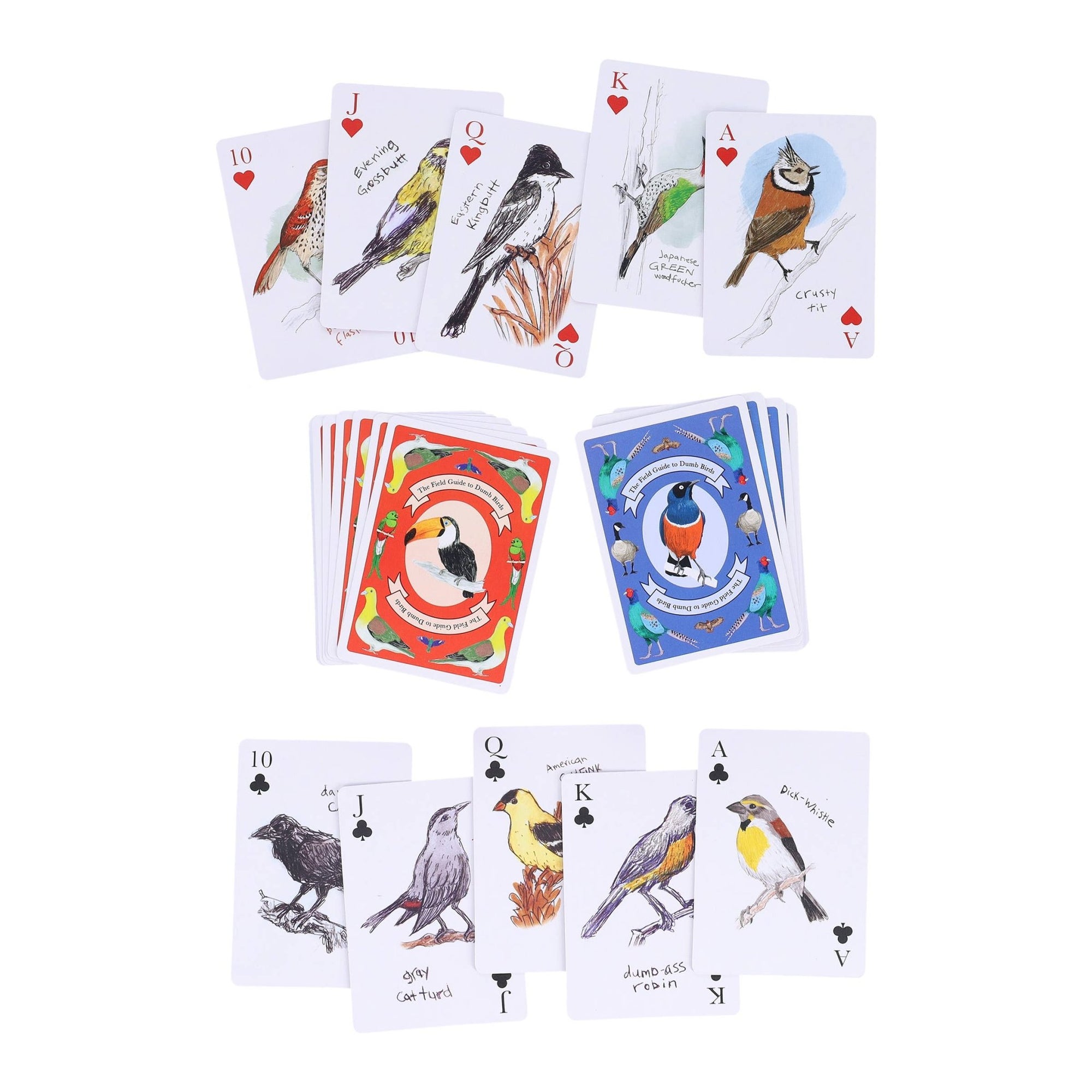 Field Guide to Dumb Birds Playing Cards - Box Turtle