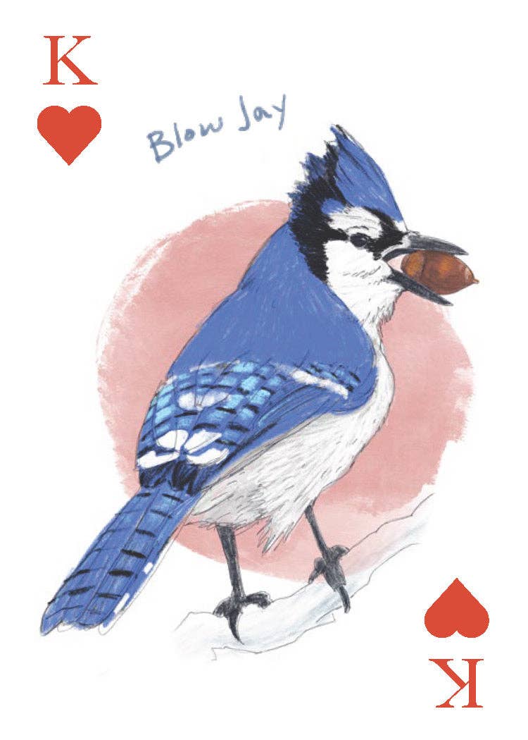 Field Guide to Dumb Birds Playing Cards - Box Turtle