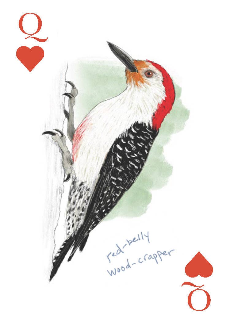 Field Guide to Dumb Birds Playing Cards - Box Turtle