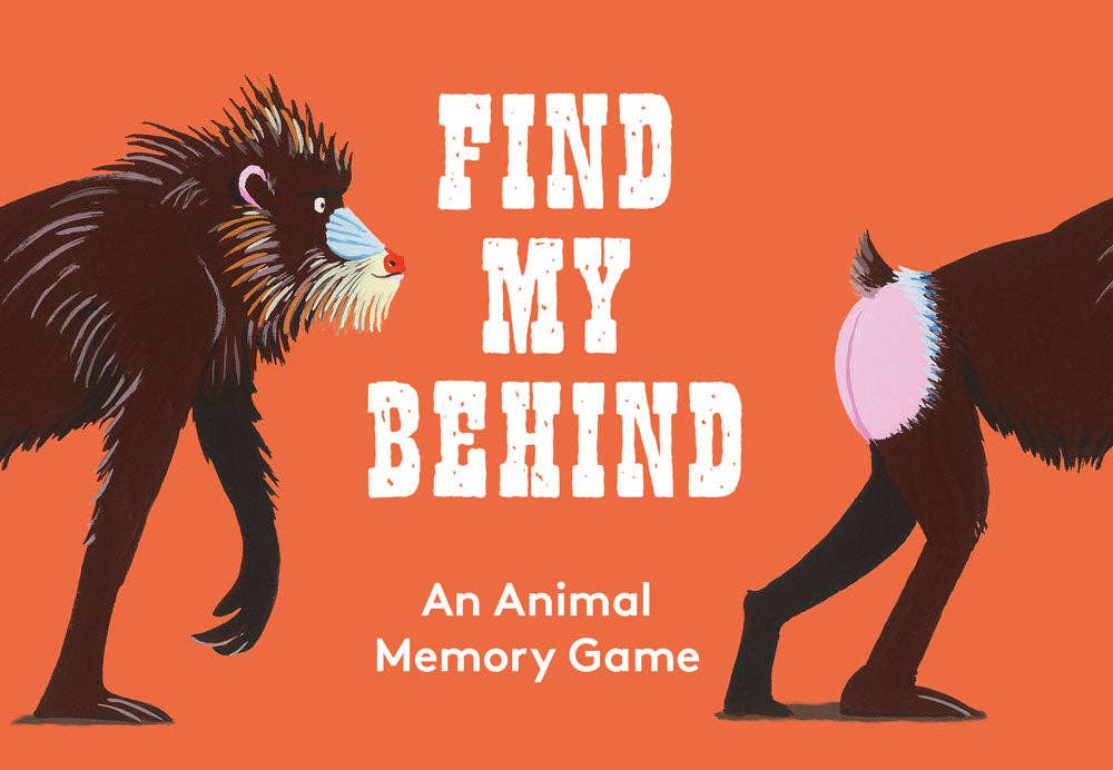 Find My Behind Memory Game - Box Turtle