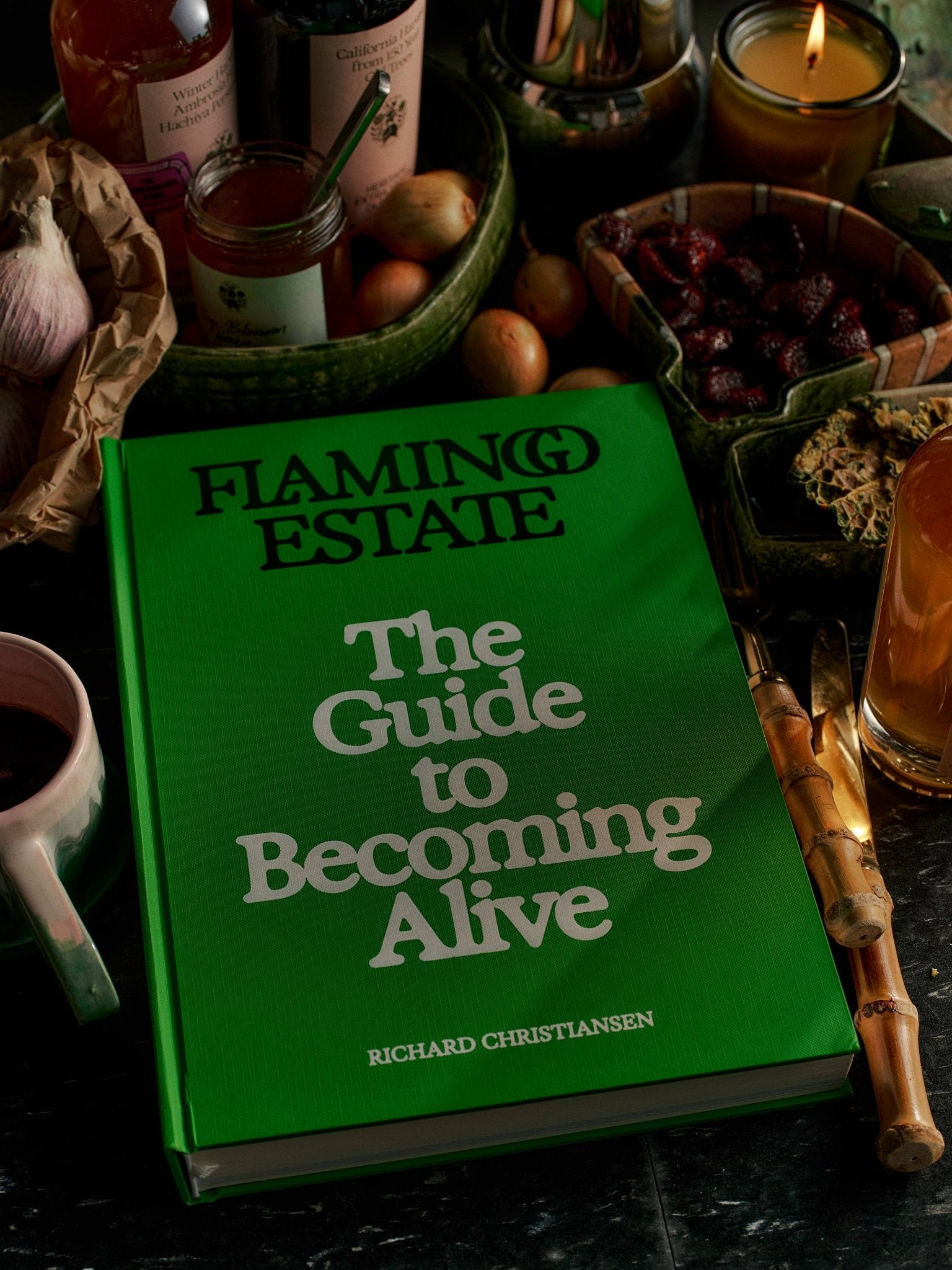 Flamingo Estate: The Guide to Becoming Alive - Box Turtle