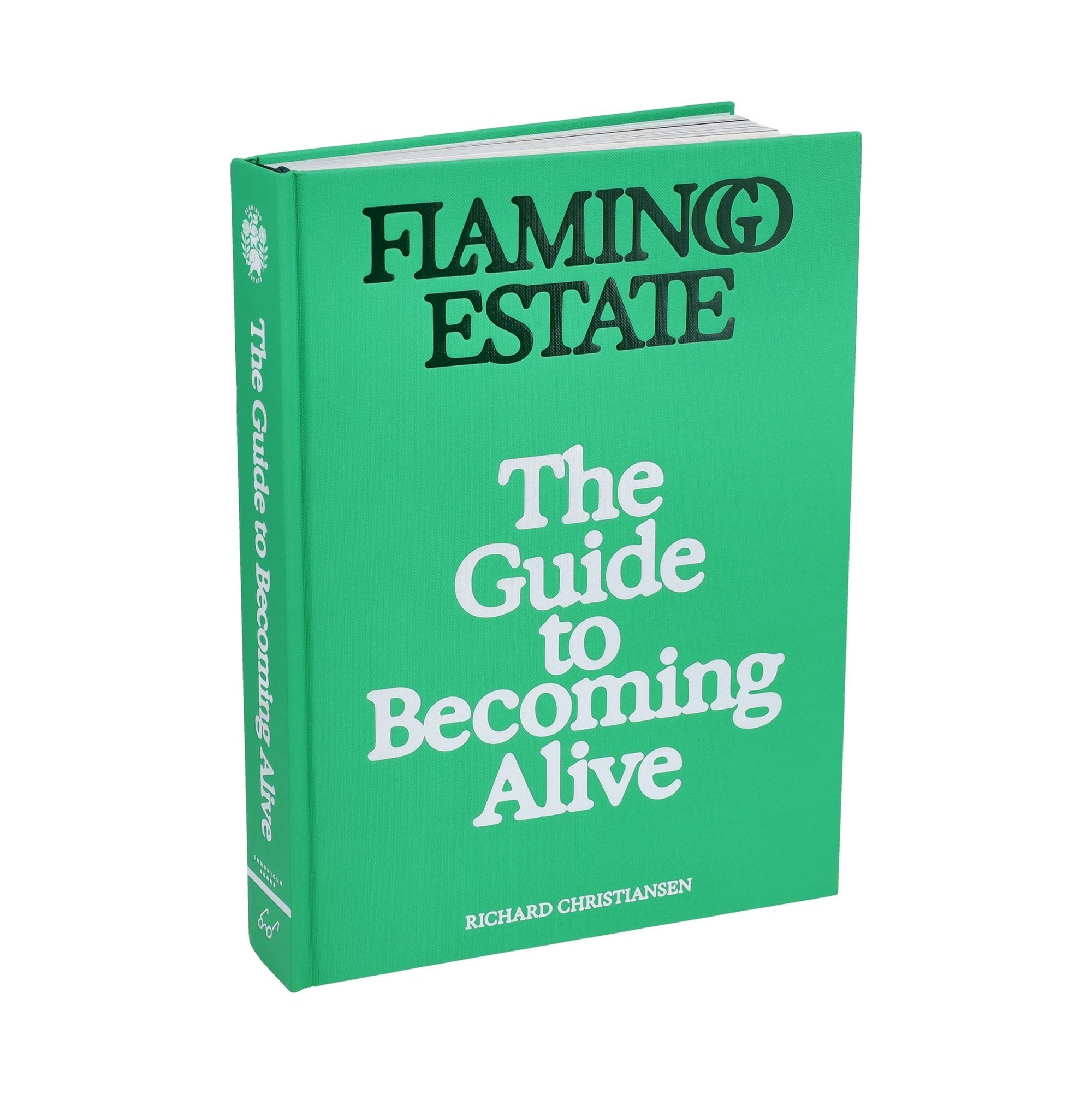 Flamingo Estate: The Guide to Becoming Alive - Box Turtle