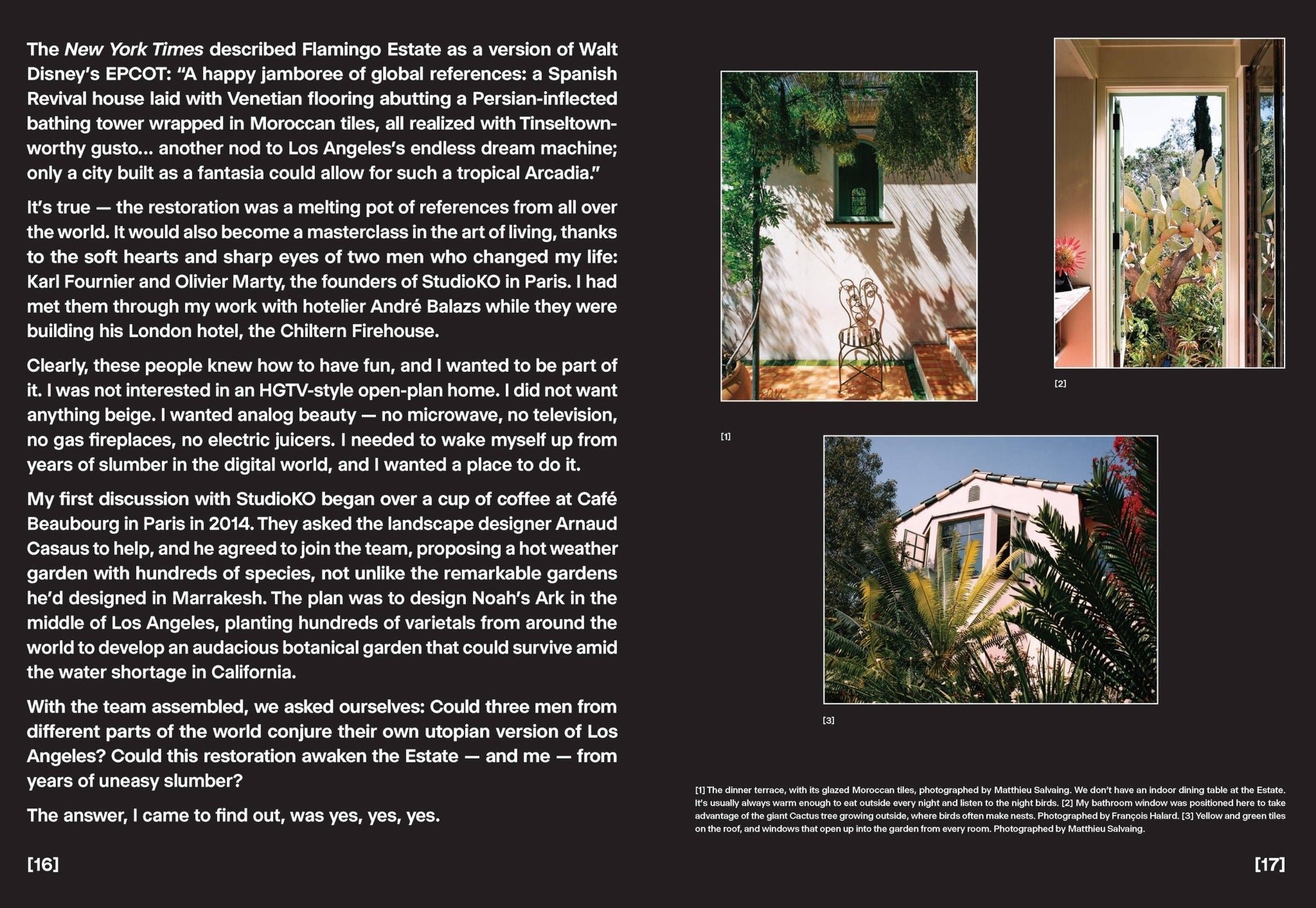 Flamingo Estate: The Guide to Becoming Alive - Box Turtle