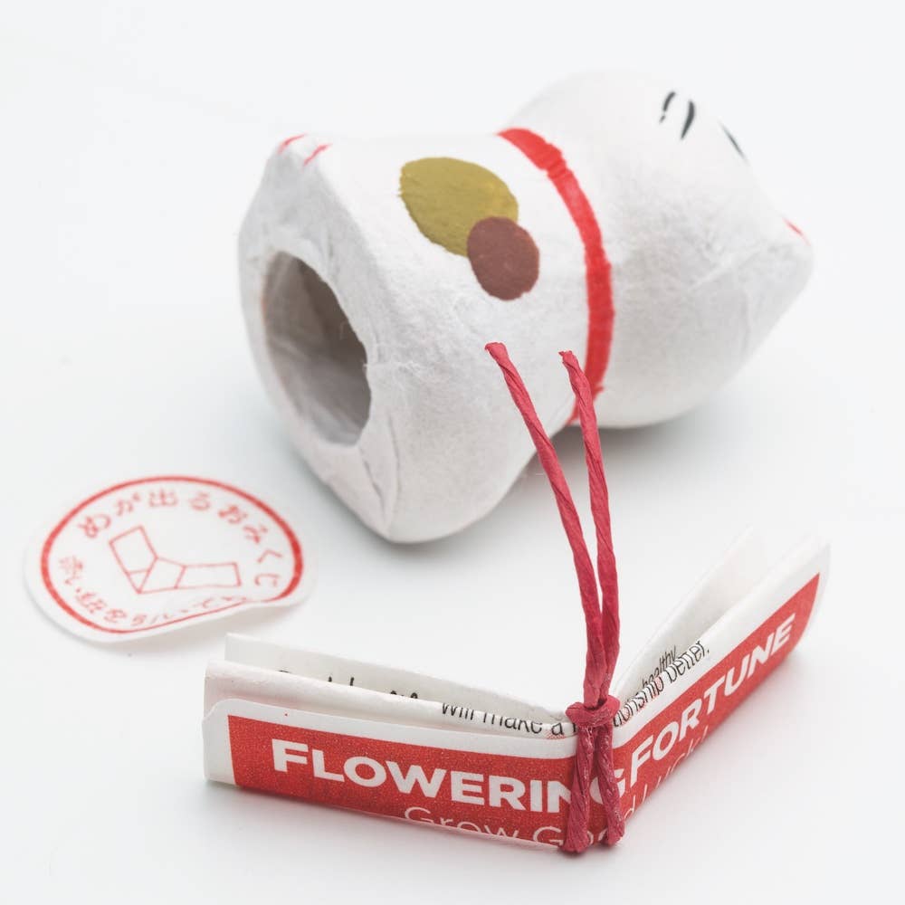 Flowering Fortunes - Beckoning Cat - Box Turtle