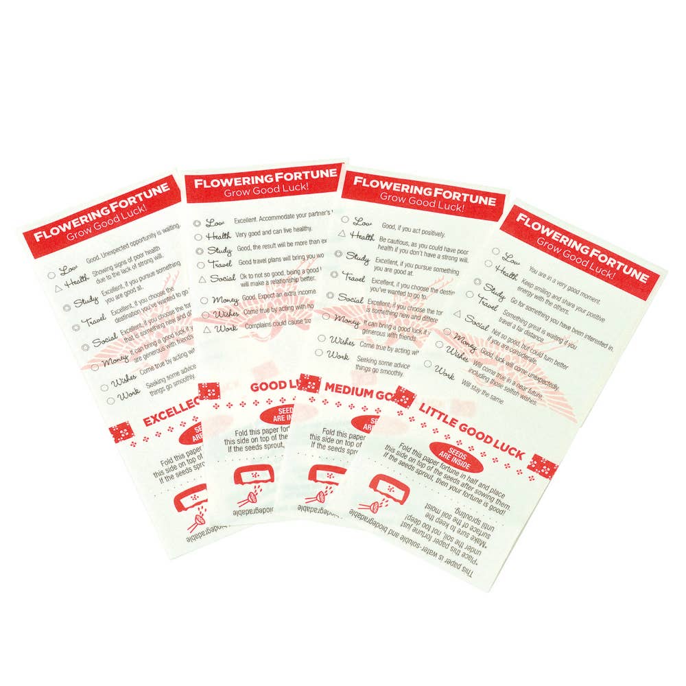 Flowering Fortunes - Beckoning Cat - Box Turtle