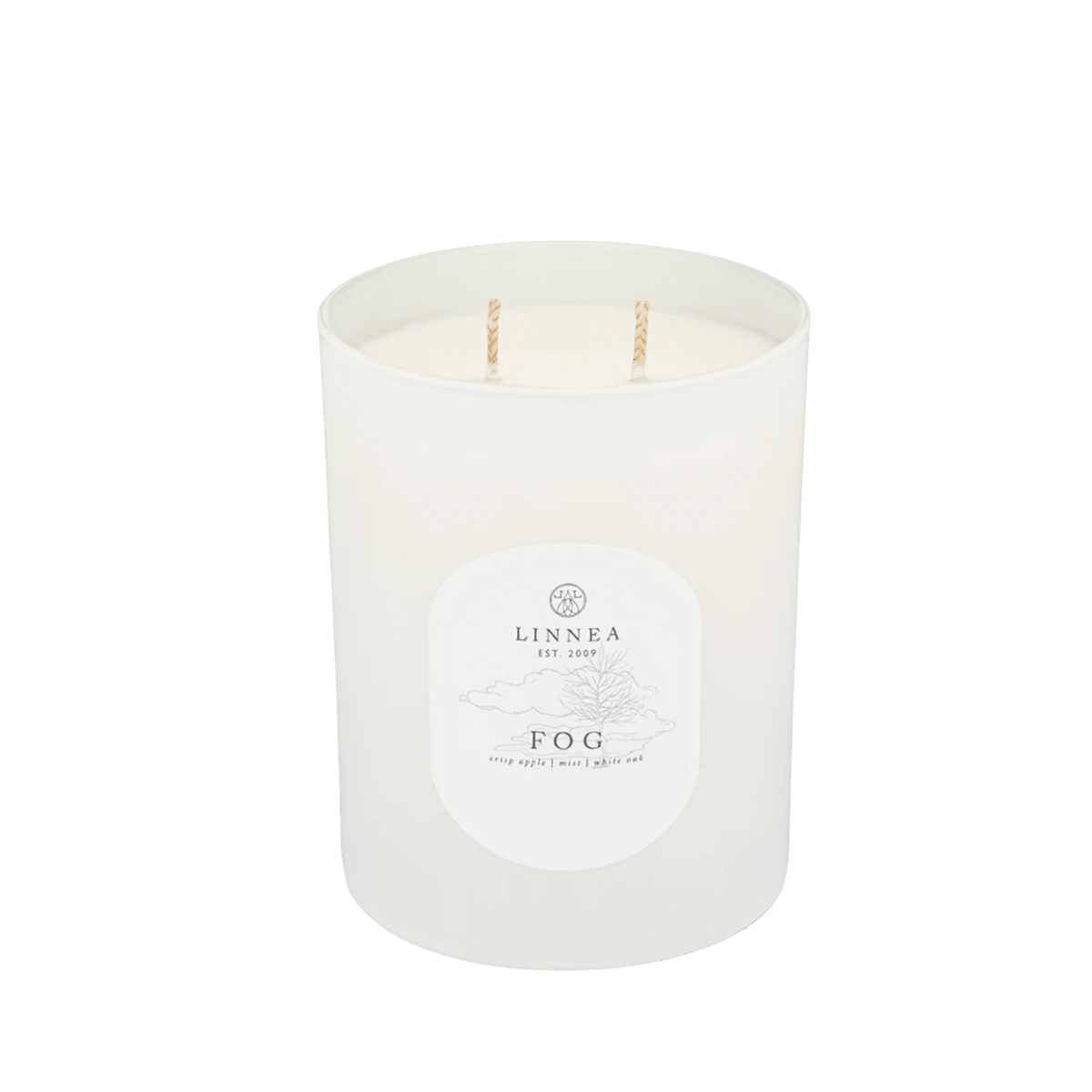 Fog Candle - Box Turtle