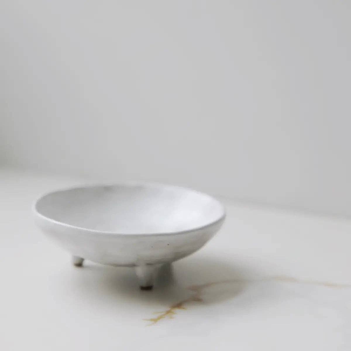 Footed Ceramic Display Bowl - Box Turtle