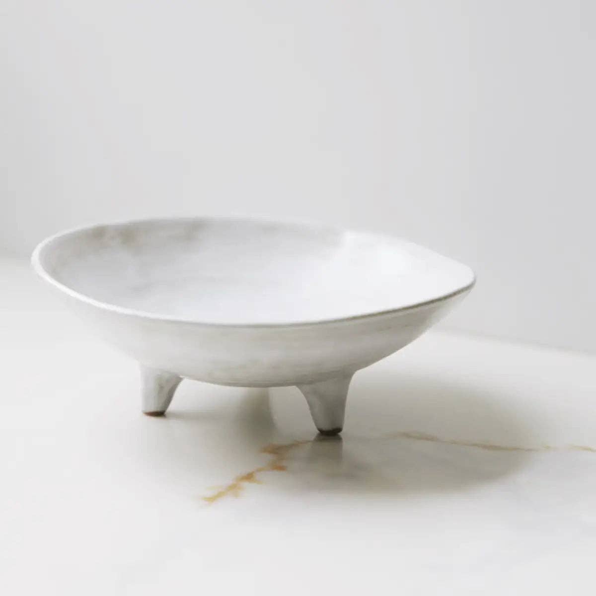 Footed Ceramic Display Bowl - Box Turtle