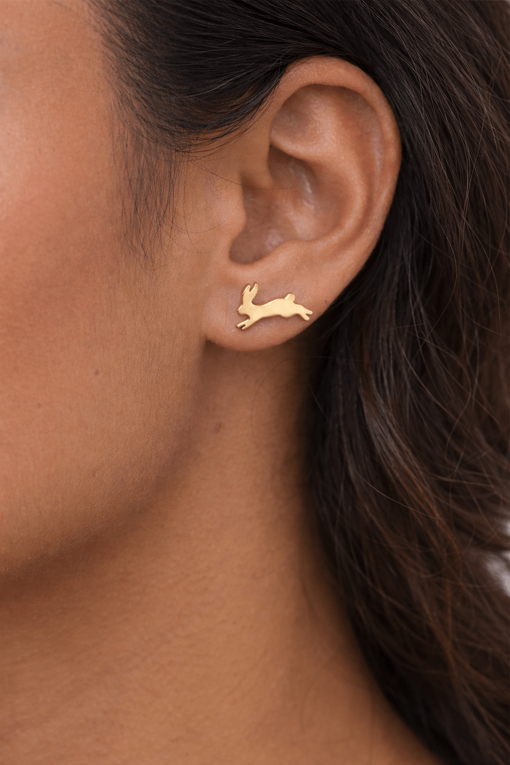 Fortune Bunny Studs - Box Turtle