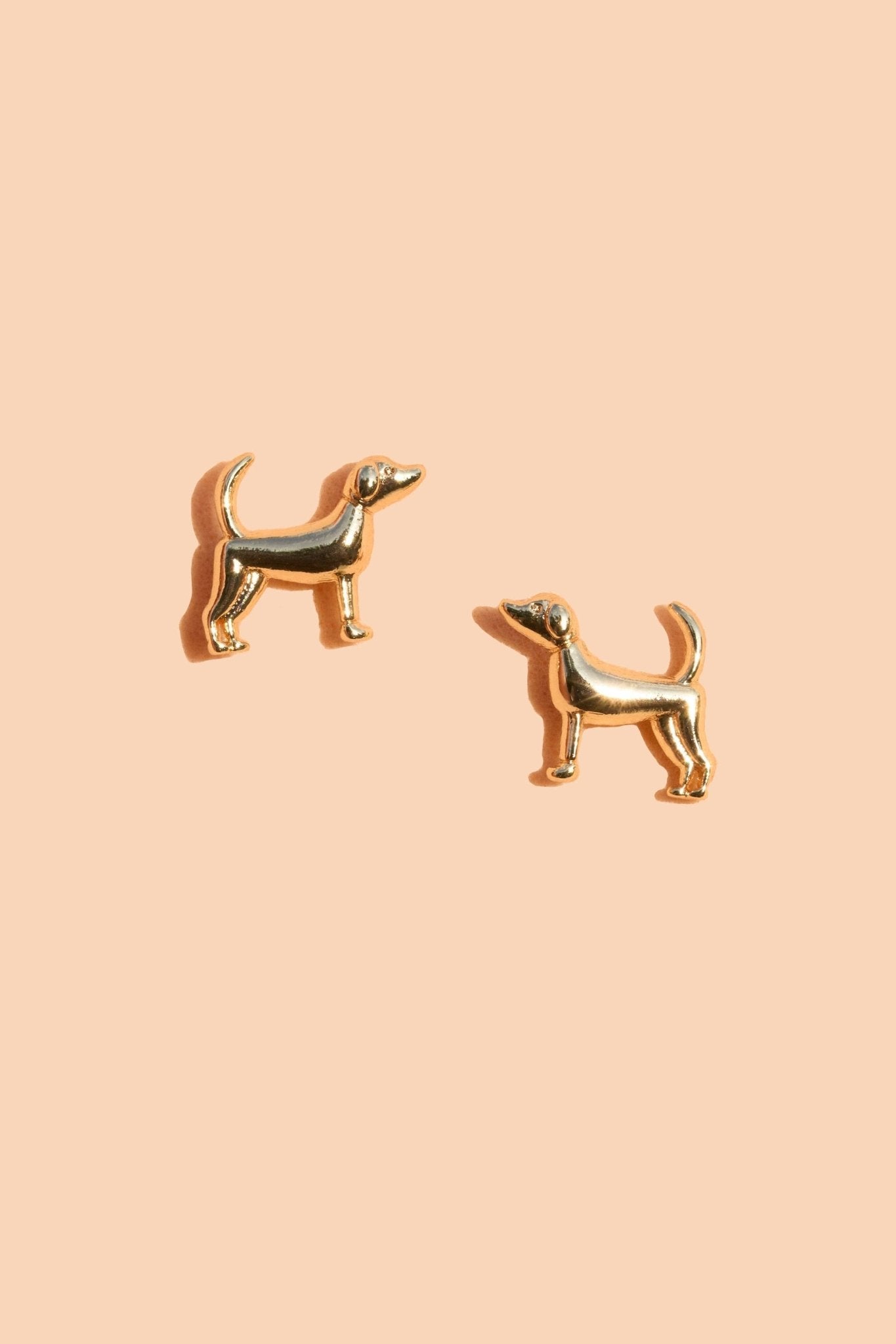 Fortune Dog Studs - Box Turtle