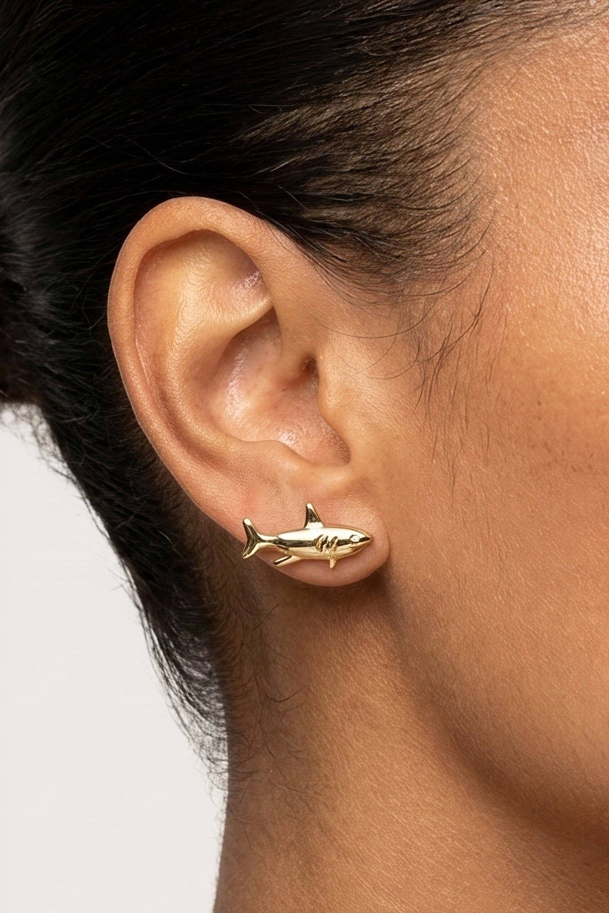 Fortune Shark Studs - Box Turtle
