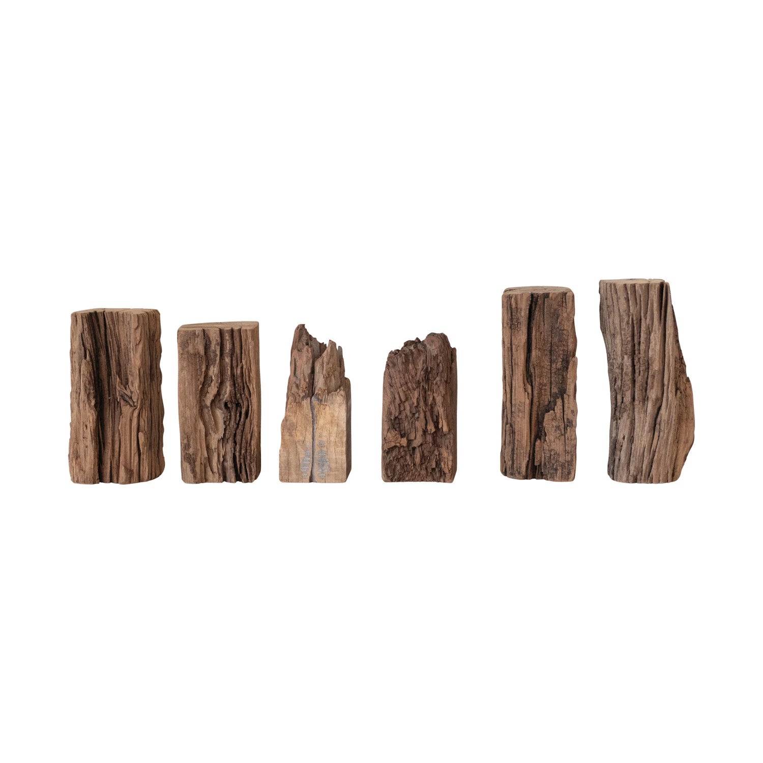 Found Wood Fragment - Box Turtle