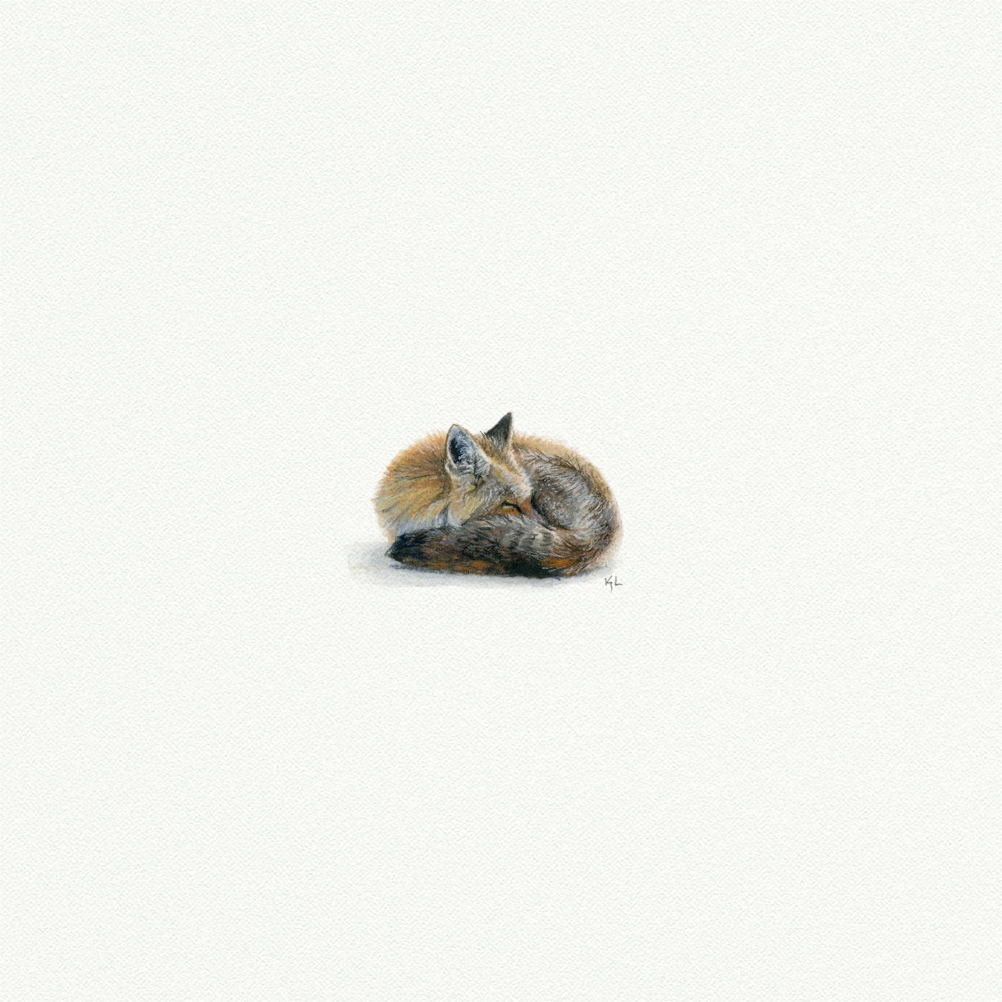 Fox Forest Animal Miniature Watercolor Painting - Box Turtle
