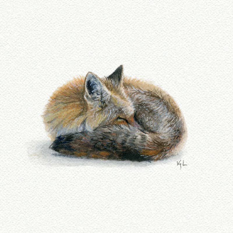 Fox Forest Animal Miniature Watercolor Painting - Box Turtle