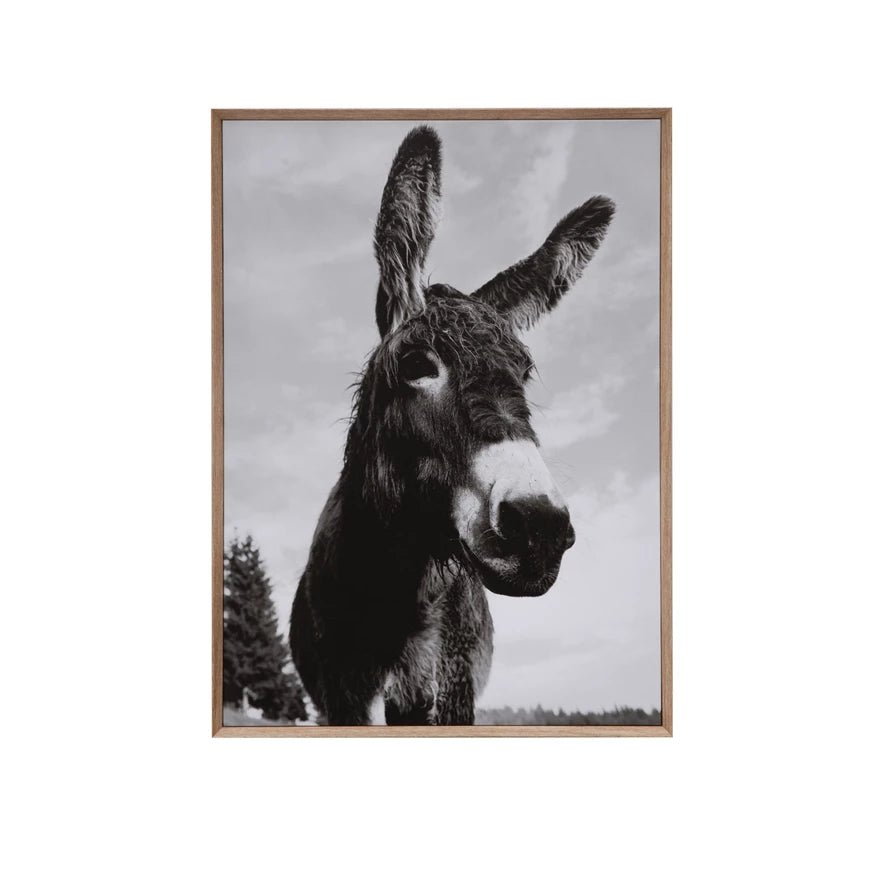 Framed Canvas Wall Decor with Donkey - Box Turtle